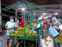 feira1 22-12.jpg