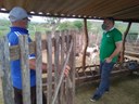 caprinos sume 23-08.jpg