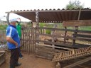 caprinos sume2 23-08.jpg