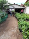 Alagoa Grande -02 02-06..jpg