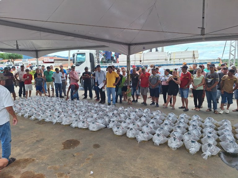 6º feira.peixamento.jpg