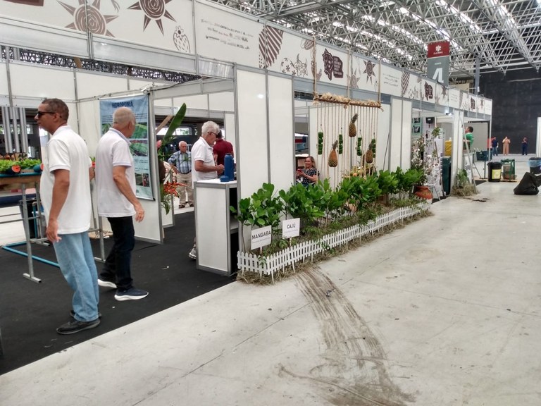 FEIRA-5 16-11.jpg