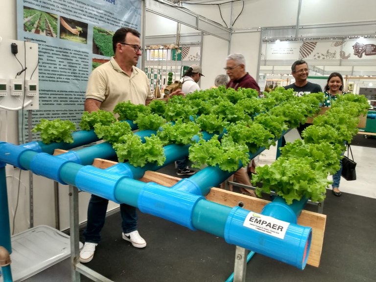 FEIRA3 16-11.jpg