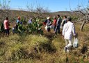 19_09_19 Empaer realiza Dia Especial sobre cultivo de palma forrageira em Água Branca (1).jpg