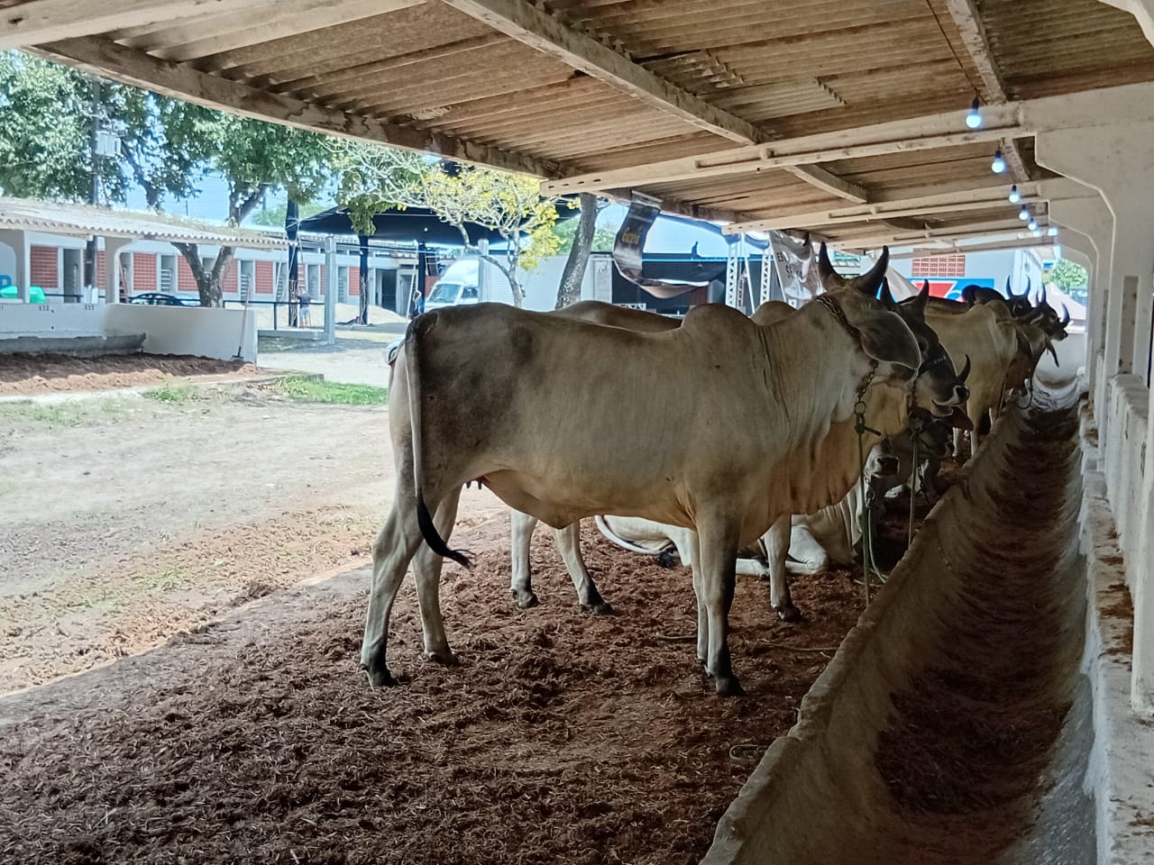 EXPOSIÇÃO 25 12.jpg