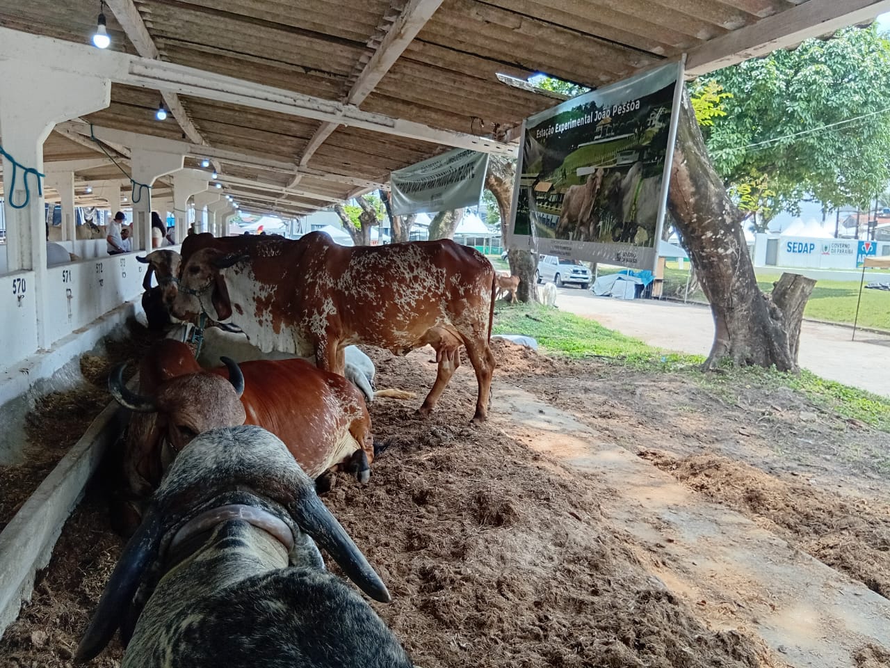 EXPOSIÇÃO 25 14.jpg