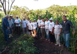 empasa-transfere-tecnologia-para-agricultores-em-serraria-3-270x191.jpg