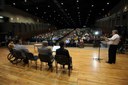 empreender13-foto Francisco França.JPG