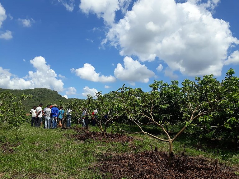 27_05_19 Energia solar muda vida de família rural em Mogeiro e agricultores conhecem projeto (2).jpg