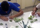 FUNDAC_-escola-cidadaa-socioeducativa-desenvolve-ervas-mediciais_foto-Fundac-8.jpg