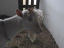 DSCN7143.JPG