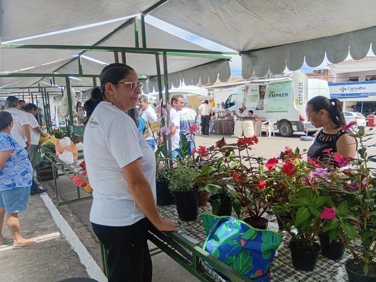 SERRARIA03 06 11.jpeg