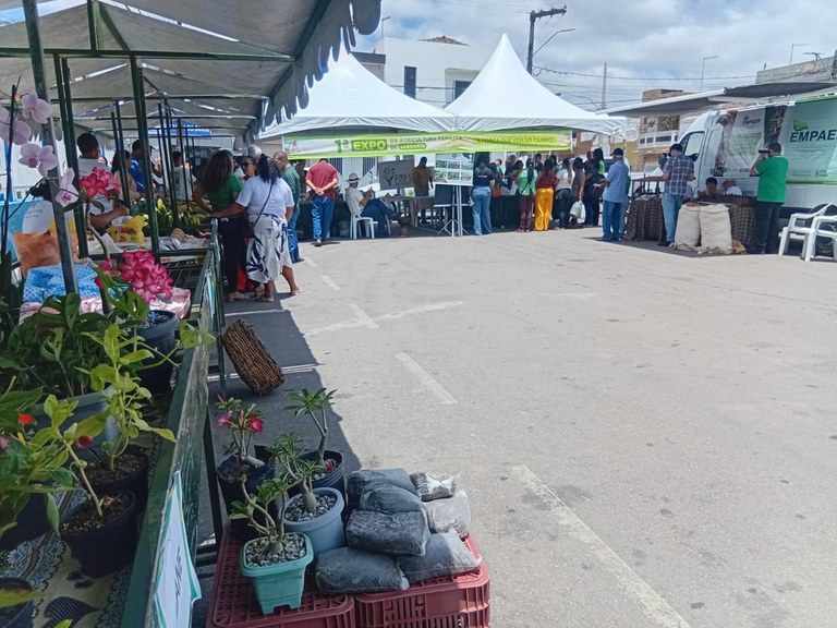 SERRARIA1 06 11.jpeg