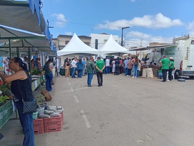 SERRARIA2 06 11.jpeg