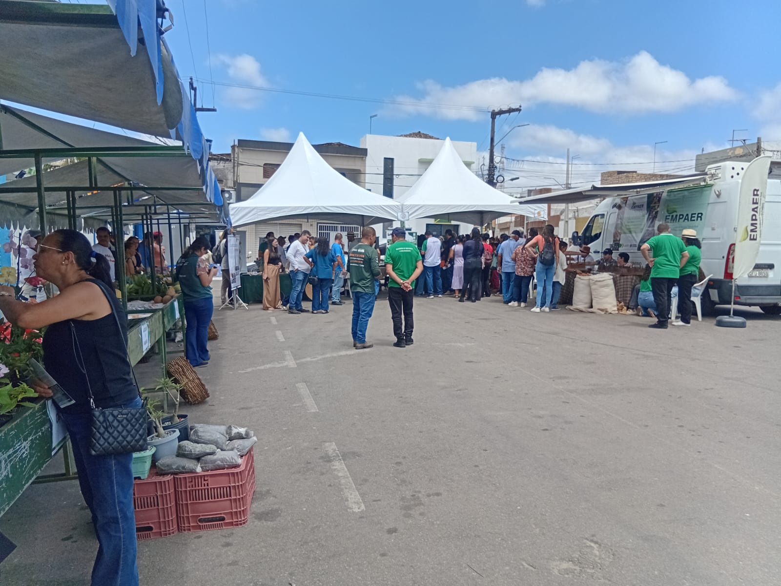 SERRARIA2 06 11.jpeg