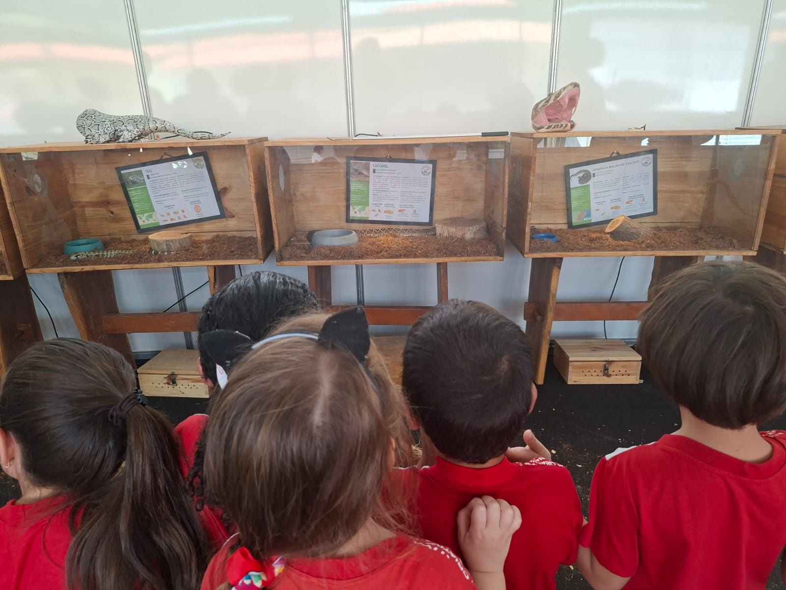 2a Expo Agro Peixe - Boqueirão Estudantes visitam o evento.jpeg