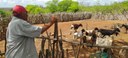 cabaceiras2 30-1.jpg