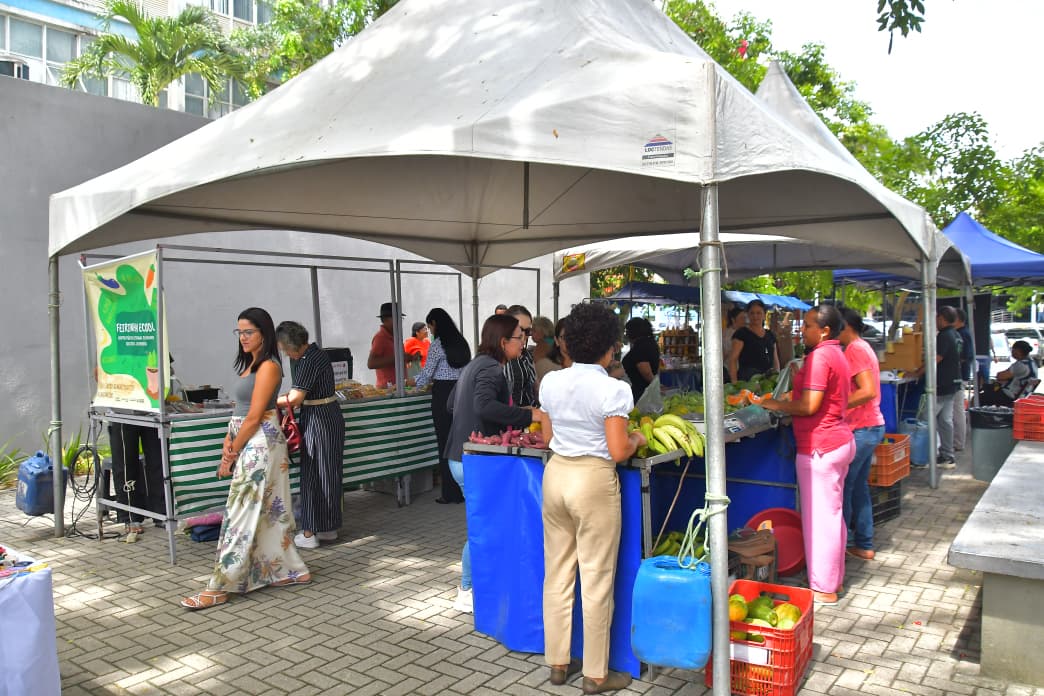 WhatsApp Image 2026-03-17 at 10.25.23.jpeg