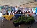 CAJAZEIRINHAS3 26-07.jpg