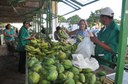 feira, dia 13 foto.jpeg