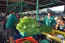 Feira.JPG