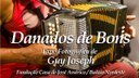 Danados de Bons.jpeg
