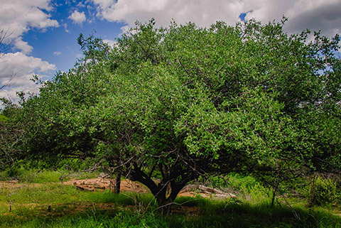 gira mundo professor projetos de educacao ambiental_foto daniel medeiros (7).jpg