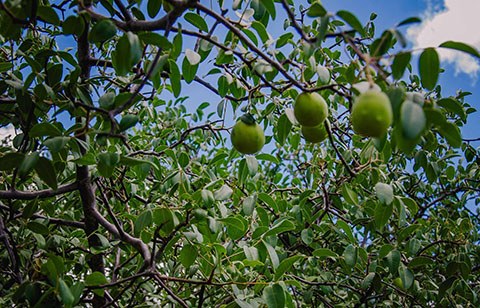 gira mundo professor projetos de educacao ambiental_foto daniel medeiros (8).jpg