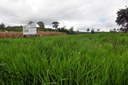 ALAGOINHA-5.jpg