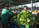 12_07_19 Governo instalou oito feiras do produtor em 2019 e programa será estendido para outros municíp (2).JPG