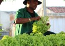 12_07_19 Governo instalou oito feiras do produtor em 2019 e programa será estendido para outros municípios (1).jpg
