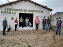 Esperança sementes3 07-05x.jpg