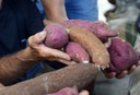 17-0124 PAA AQuisição de Alimentos em Itabaiana foto-Alberto Machado (134).JPG