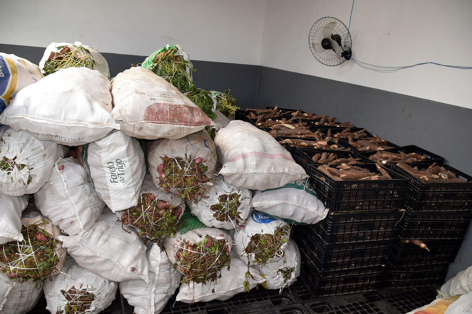 17-0124 PAA AQuisição de Alimentos em Itabaiana foto-Alberto Machado (52).JPG