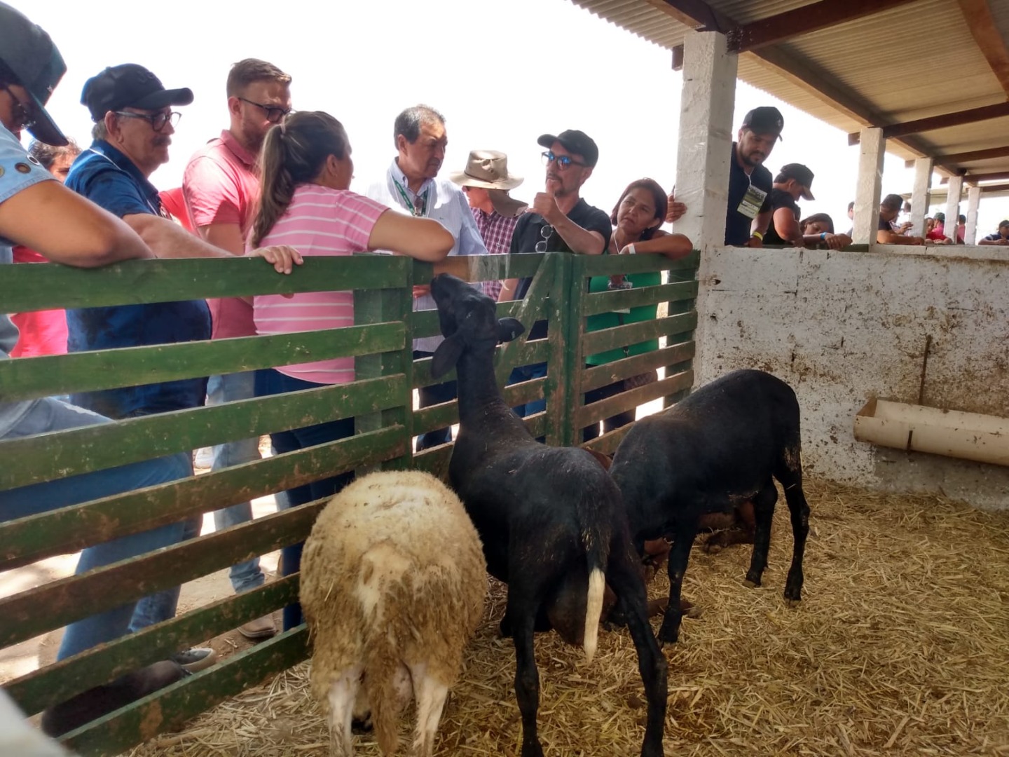 Dia de Campo2 29 11.jpg