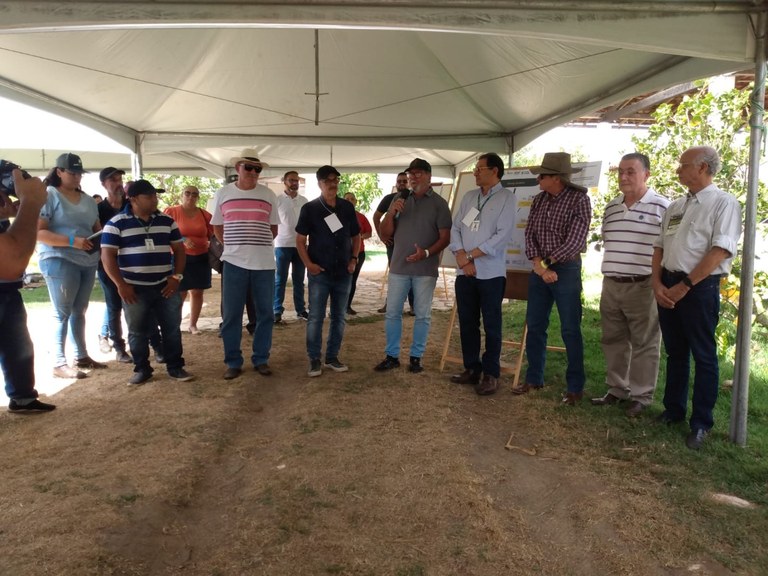 Dia de Campo6 29 11.jpg