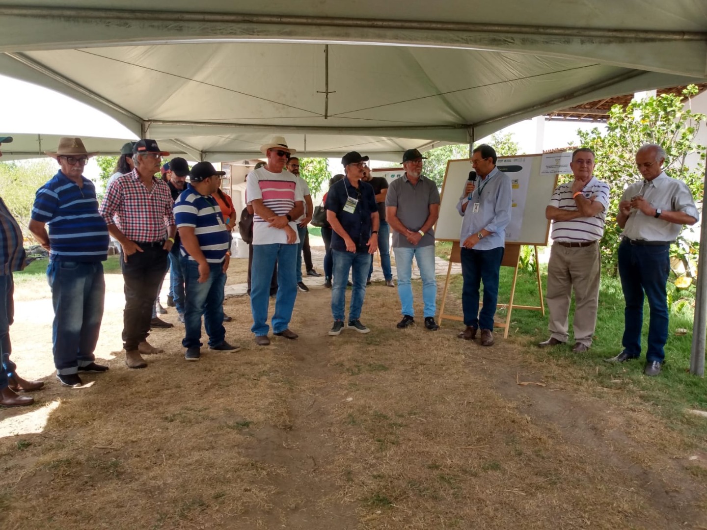 Dia de Campo8 29 11.jpg