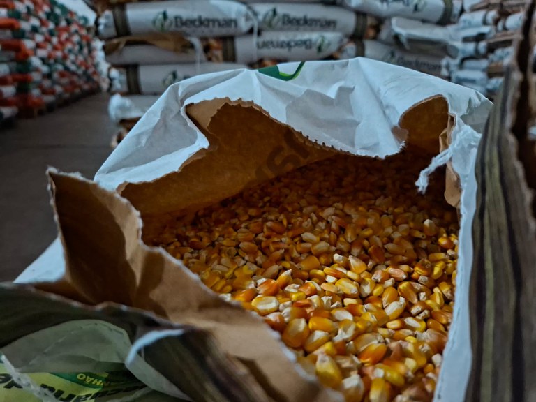 Sementes Sedap Esperança 7.jpeg