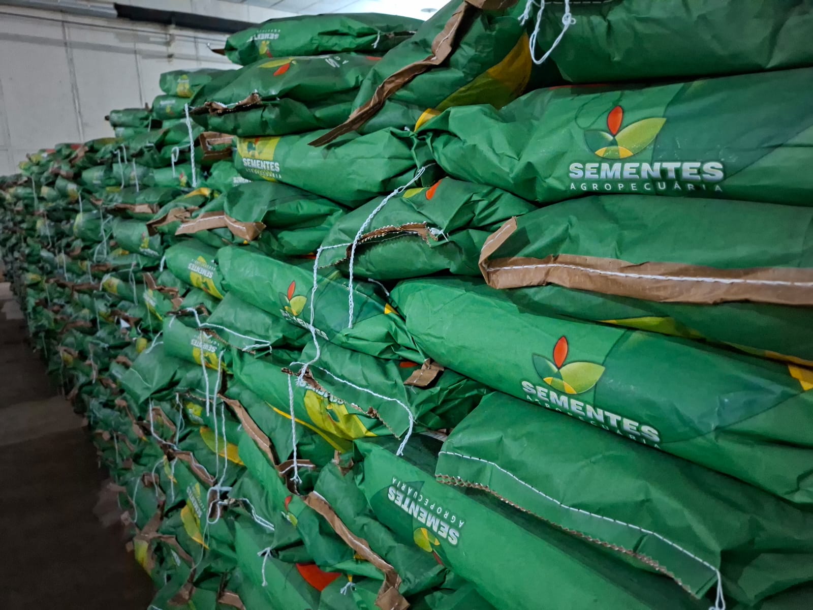 Sementes Sedap Esperança 9.jpeg