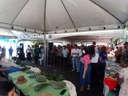 Cajazeirinhas-4.jpg