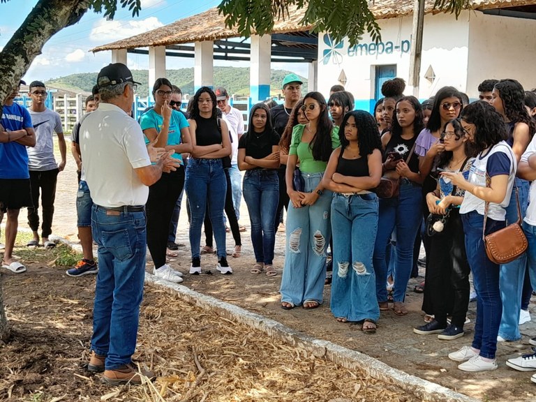 silagem-estudantesAlagoinha.jpg