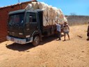 ALGODÃO6 09-11.jpg