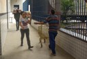 cestas básicas educação_Delmer Rodrigues (6).jpeg