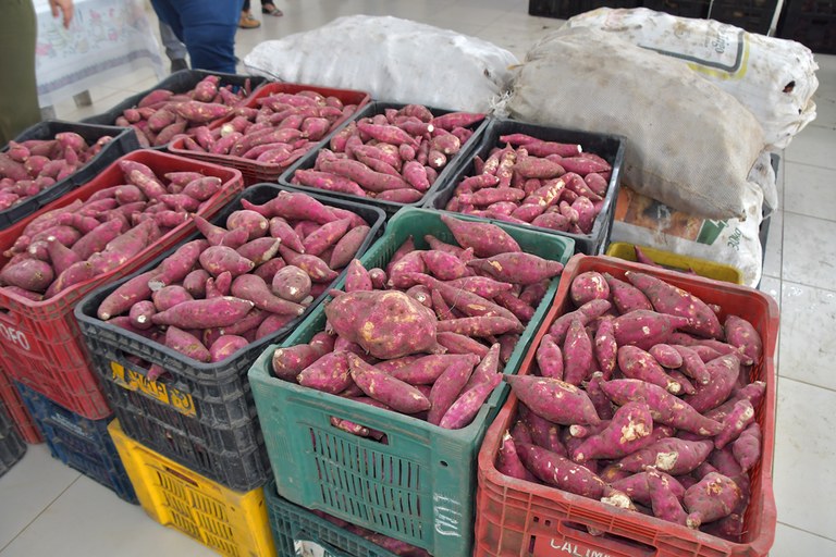28-09-21    PAA-Programa de Aquisição de Alimento em Alhandra (5).JPG