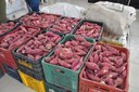 28-09-21    PAA-Programa de Aquisição de Alimento em Alhandra (5).JPG
