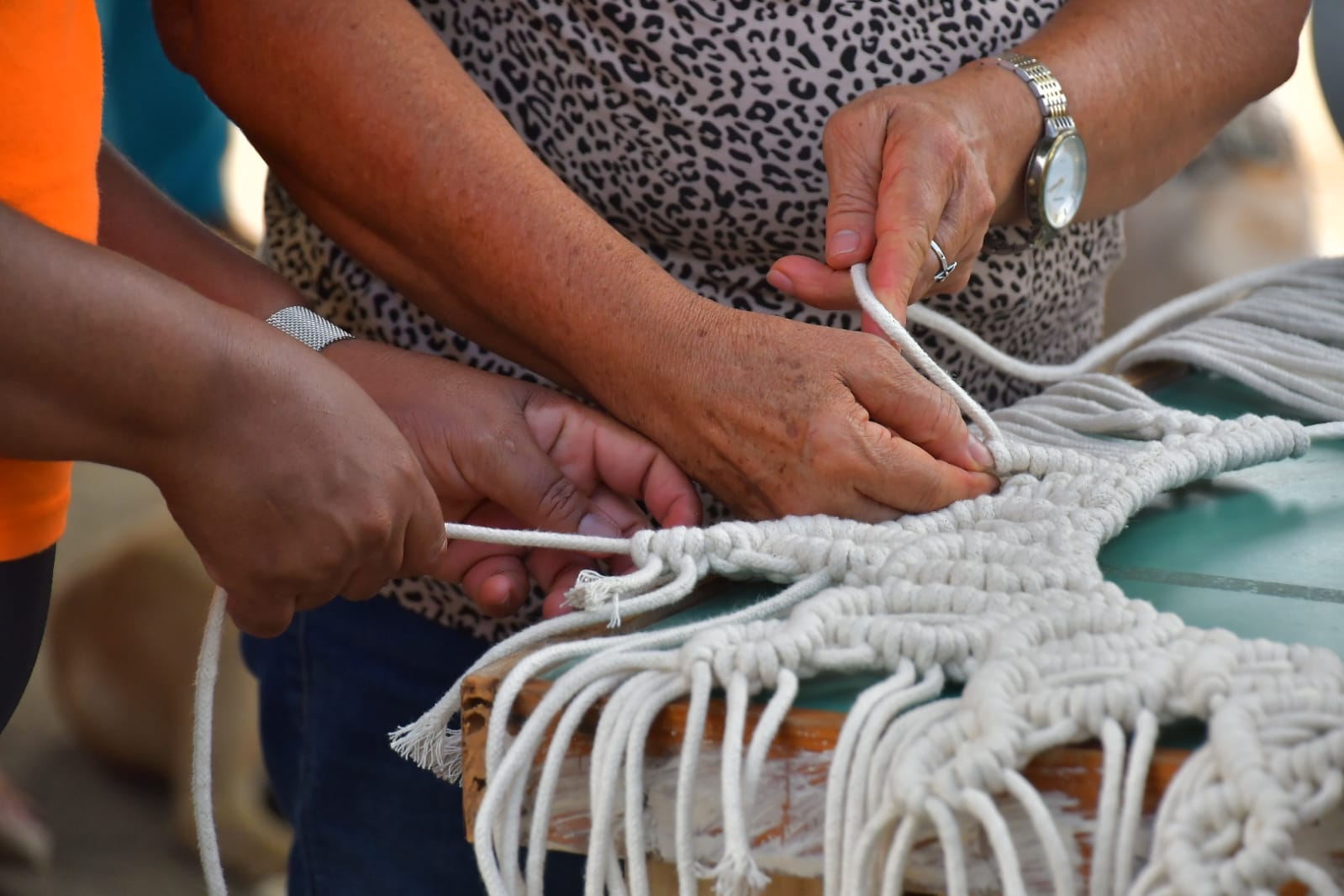 WhatsApp Image 2026-03-18 at 16.21.04 (3).jpeg