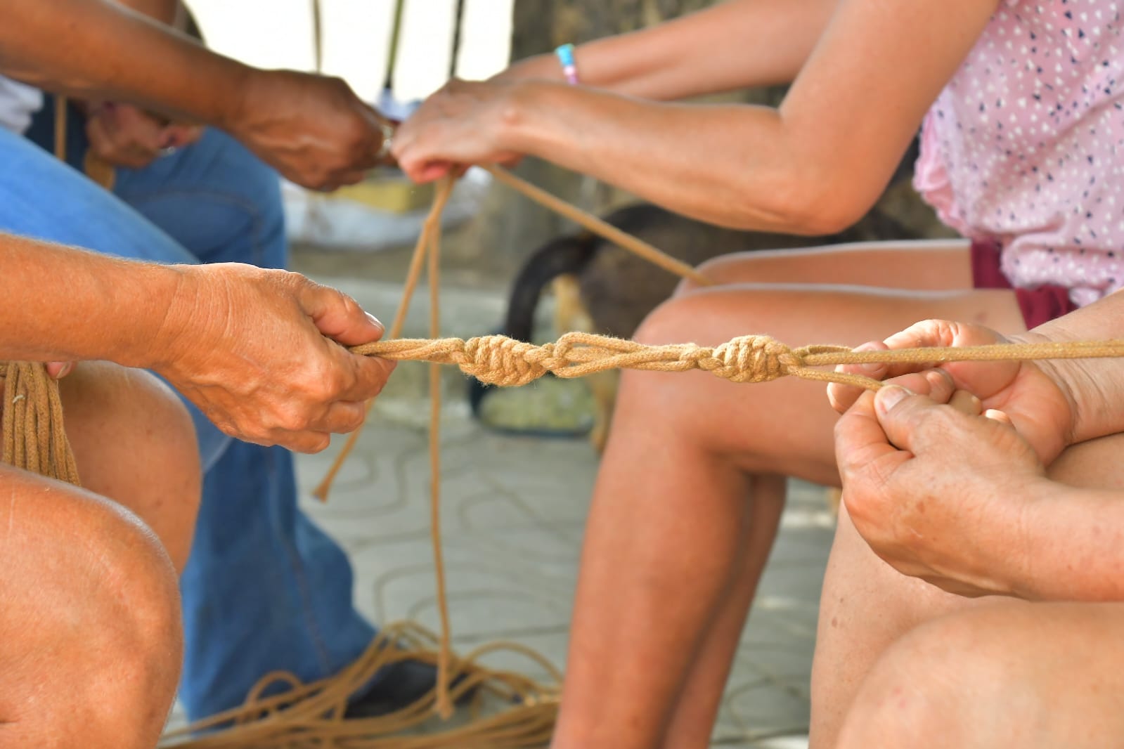 WhatsApp Image 2026-03-18 at 16.21.04 (4).jpeg