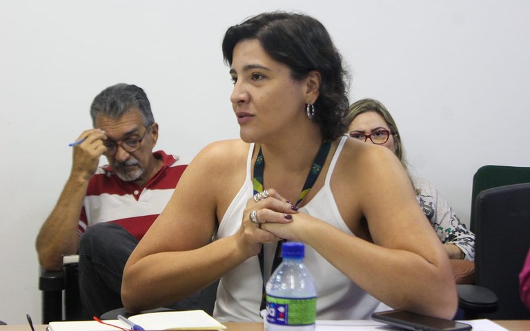 ses prepara plano de contingencia contra arboviroses 3.jpg