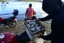 IMG-20250409-WA0118.jpg