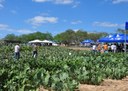 07_11_19 Governo realiza Dia de Campo com raquetes de palma forrageira (2).JPG